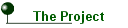[The Project]